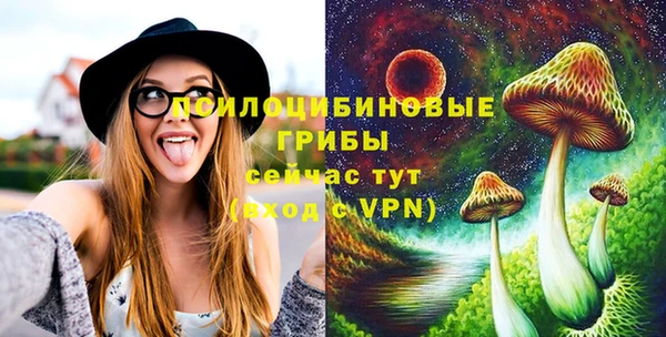 спайс Алексеевка