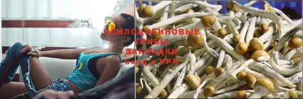 спайс Алексеевка